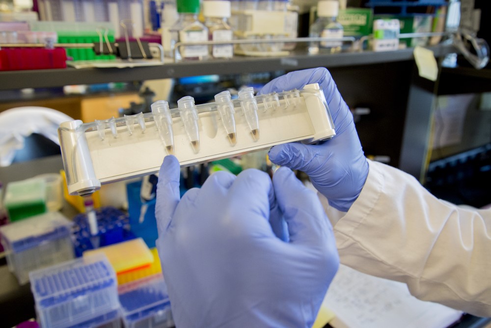 Gloved researcher and test tube
