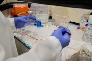 Lab member working in fume hood 