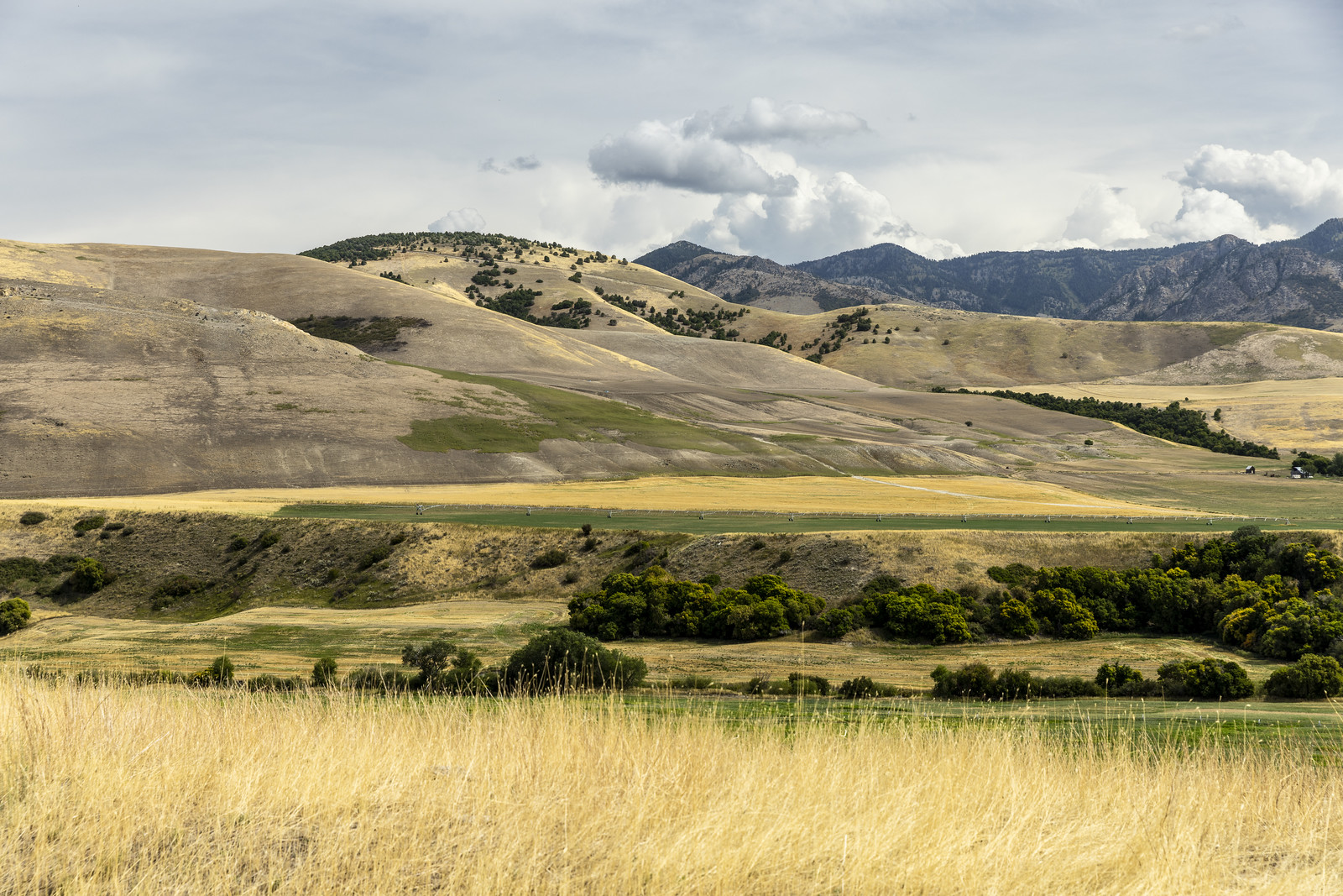 Idaho