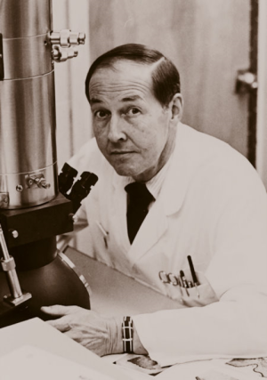 Dr. George Odland, the first long-term Division Head of the Division of Dermatology, who led the division from 1961-1988.