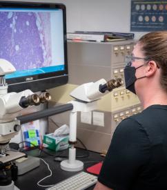 Researcher reviewing pathology