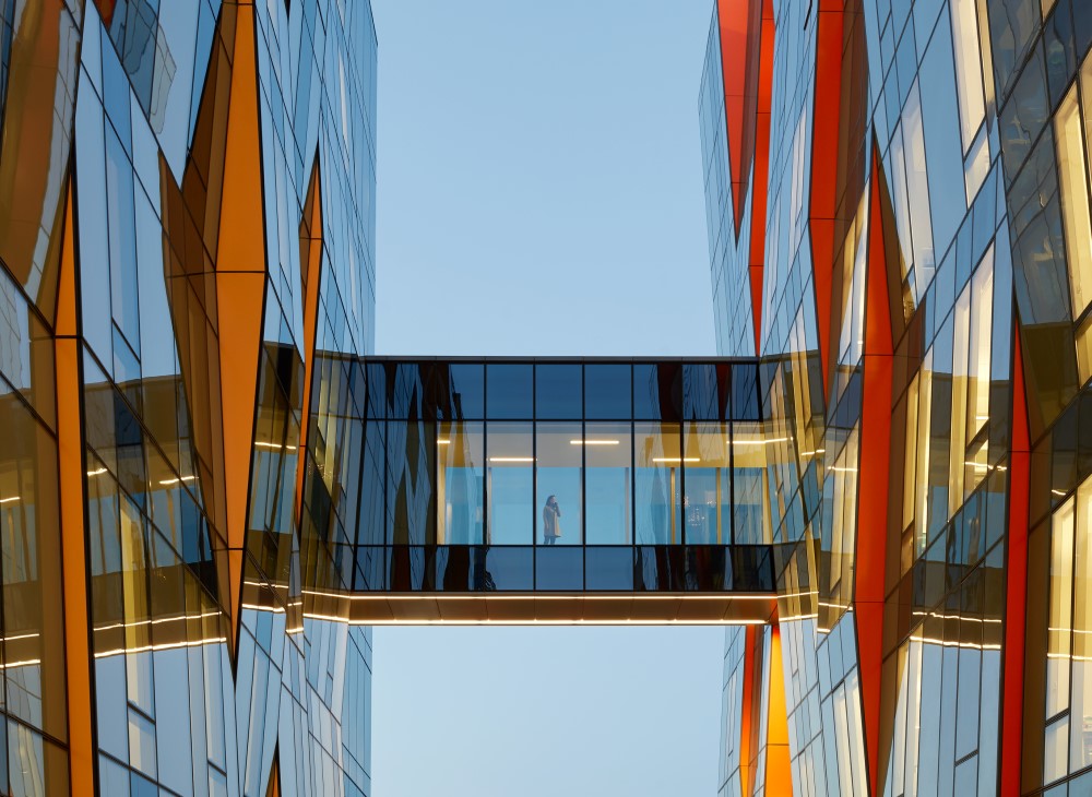 skywalk near south lake union clinic