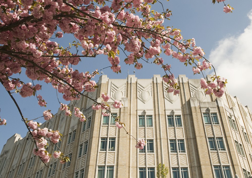 Harborview medical center