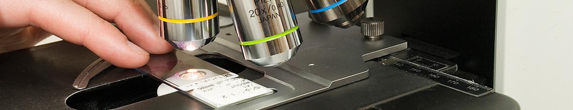 Microscope 
