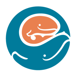 Seattle children's logo 