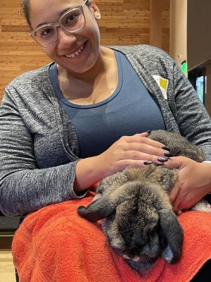Therapy bunnies