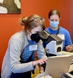 Dr. Maier looking into microscope 
