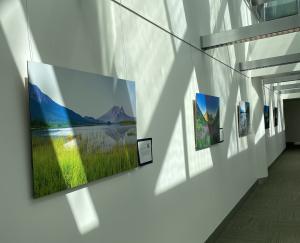 "Exposures" art project 