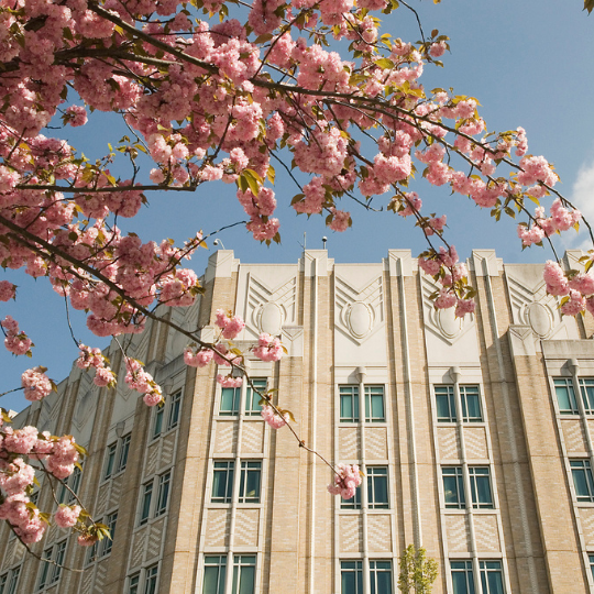 Harborview medical center